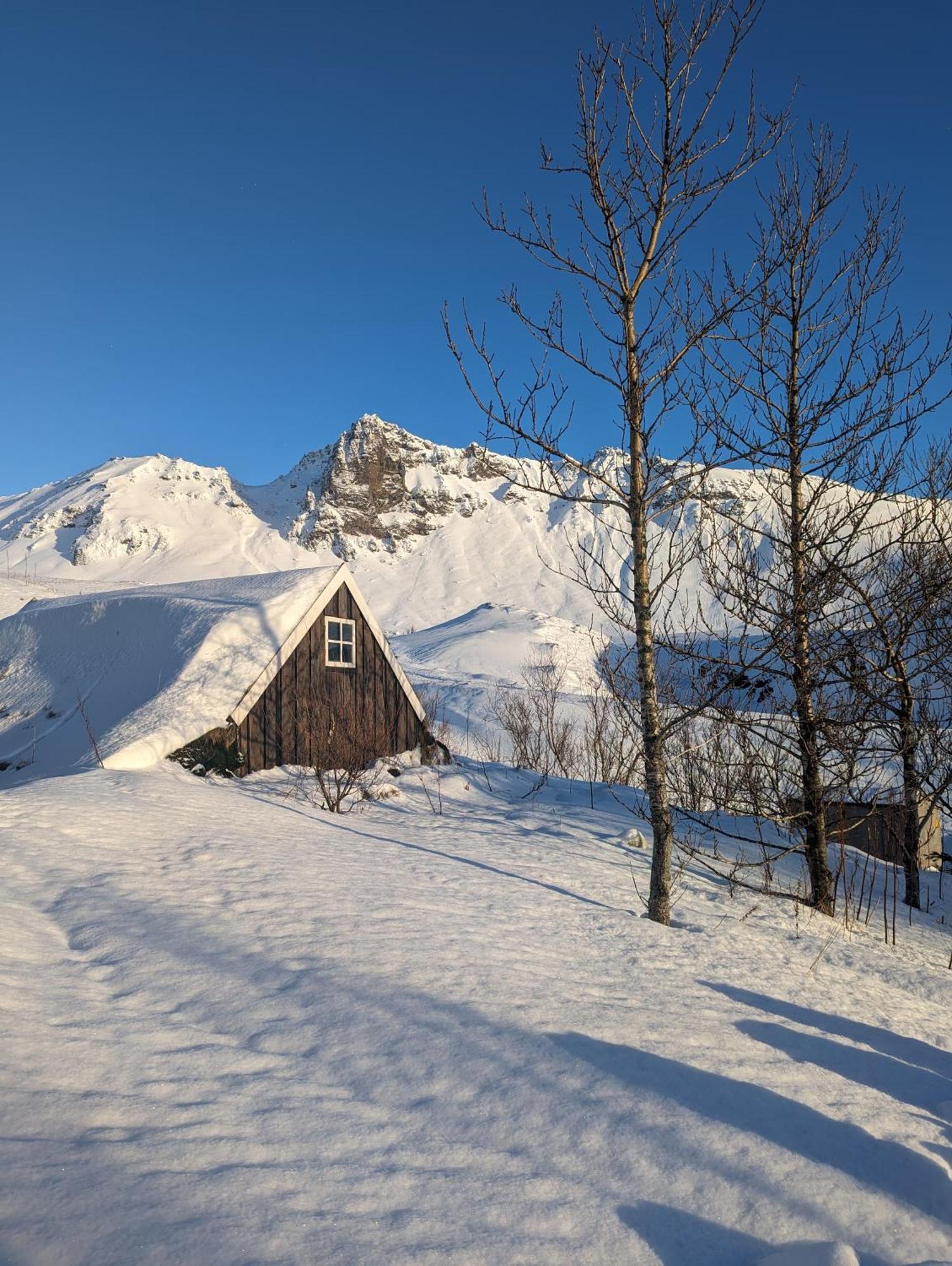 Vik Hostel Bagian luar foto